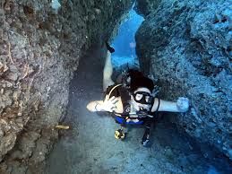 Image result for Blue Water Diving