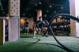 Image result for Lynx Gymnastics Club