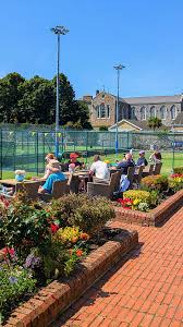 Image result for Dorking Lawn Tennis Club