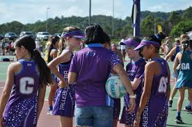 Image result for Willenhall Town Wanderers Netball Club