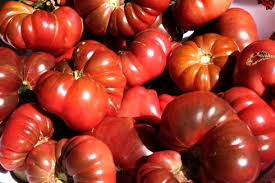 Afbeeldingsresultaat voor purple calabash tomato