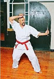 Image result for Kenshukai Karate