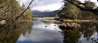 Image result for Newbury Mountain Club