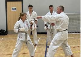 Image result for Soncho Karate Club