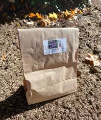 Image result for Breckland Forest Gymnastics Club 2004