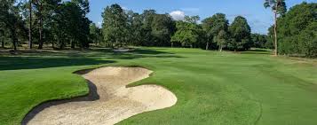 Image result for Gerrards Cross Cc