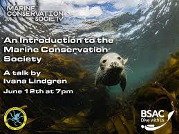 Image result for Kingston and Elmbridge Snorkellers