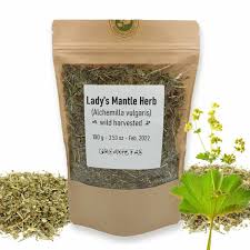 Attēlu rezultāti vaicājumam “Alchemilla vulgaris aggr.”