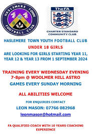 Image result for Haslemere Town Youth Football Club