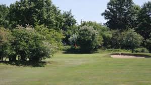 Image result for Central London Golf Club