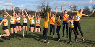 Image result for Hercules Wimbledon A C