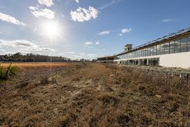 Image result for Reading Greyhound Track