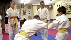 Image result for Beeches Martial Arts