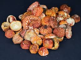 Attēlu rezultāti vaicājumam “Amanita muscaria”