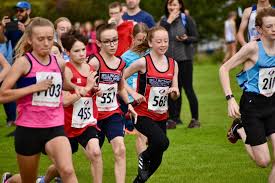 Image result for Billingham Marsh House Harriers