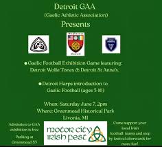 Image result for Wolfe Tones Gaelic Athletic Club