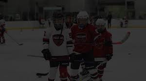 Image result for Adur Skater Hockey Club