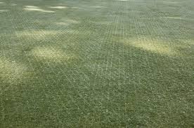 Image result for Southsea Common Bowling Greens