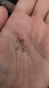 Attēlu rezultāti vaicājumam “Nematomorpha”