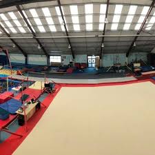 Image result for York University Gymnastics Club