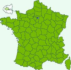 Attēlu rezultāti vaicājumam “Eilema depressa imago”