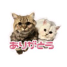 あめくん에 대한 이미지 검색결과