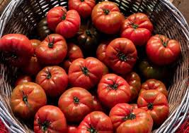 Afbeeldingsresultaat voor Pink Brandywine tomato