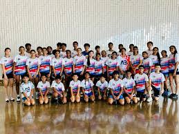 Image result for Delco Electronics Senior Badminton Club