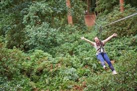 Image result for Go Ape! Alice Holt