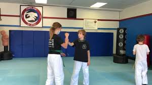 Image result for Komaru Ryu Small Circle Jujitsu/Karate