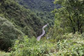 Výsledek obrázku pro yungas