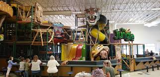 Image result for Fish trampoline and gymnastics club