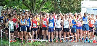 Image result for Elmbridge Road Runners