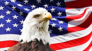 Image result for american