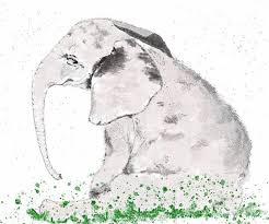 Image result for sad elephant