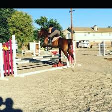 Image result for Kings Ranch Riding School/Club