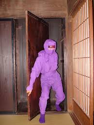 Image result for Hertfordshire Iga Ryu Ninjutsu