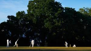Image result for Lymm Oughtrington Park Cricket Club