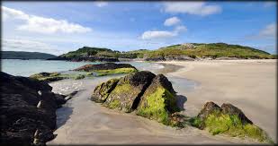 Image result for Derrynane