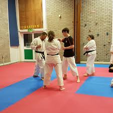 Image result for Carmarthen Judo Club