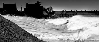 Image result for zeeland 1953