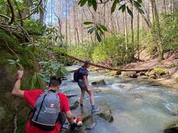 Image result for Fusion Badminton Club