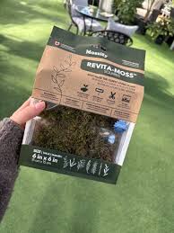 Attēlu rezultāti vaicājumam “Pleurozium schreberi”