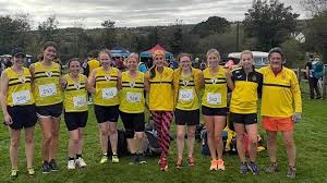 Image result for County Antrim Harriers