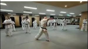 Image result for Chikara Dojo Of Kyokushin Karate