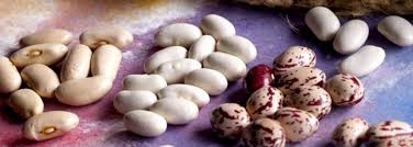 Image result for alubia grande