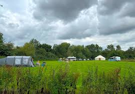 Image result for Ross Rowing Club