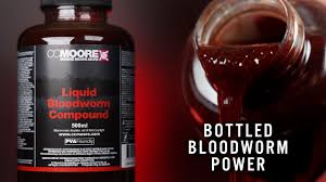 Image result for Stalbridge Cc