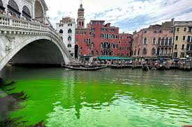 Image result for venice