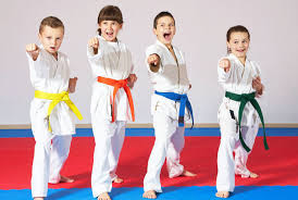 Image result for Freedom Martial Arts